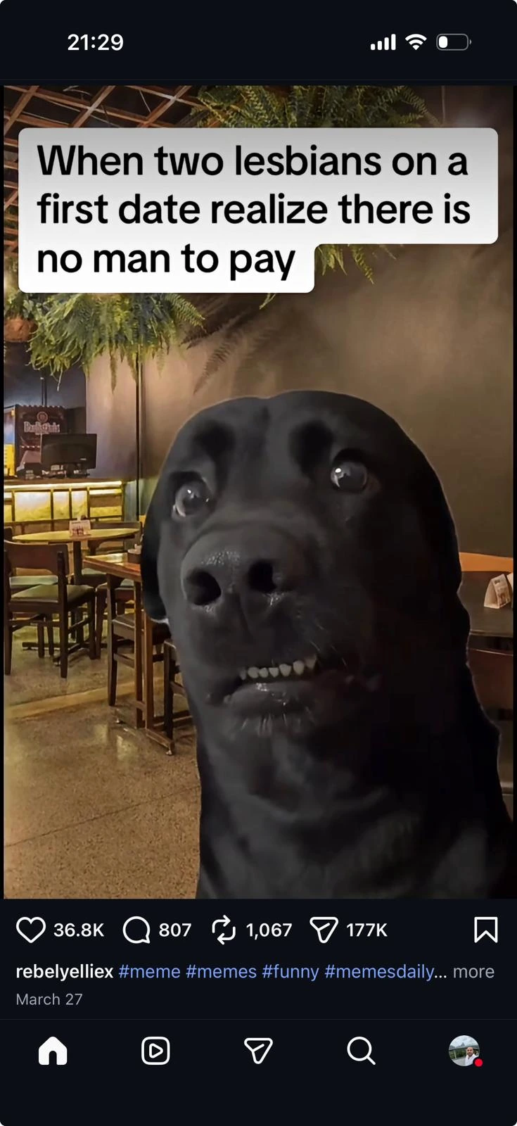 Andrei Stasencu